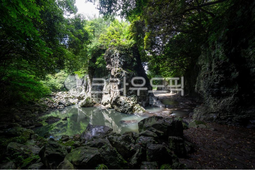 Jeju Island,Andeok Valley,Valley,Trees,Forest,Mountain,Canyon,Valley,Rock,Cliff,Light,Long Exposure,Water
