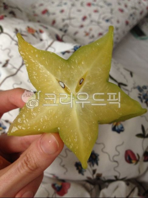 스타후르츠,스타프루트,오렴자,과일,열대과일,starfruit,carambola,식물,열대,plant,사람,person,손가락