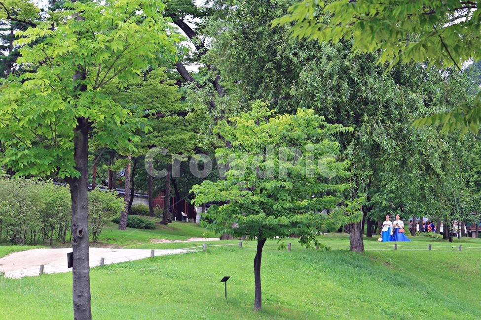 경복궁,궁궐,궁,한복,녹음,녹색,나무,푸르름,여름,green,palace,summer,tree,산책,풍경,landscape,landmark,전통,문화,traditional,여름,계절,summer,season,자연,풍경,nature,landscape,한국자연풍경,한국자연경관,korea nature landscape,plant,식물,human,인간,person,사람,grass,잔디