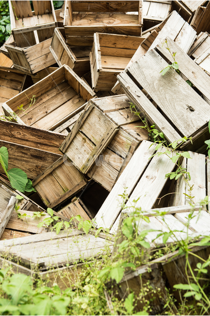 나무상자,애플박스,궤짝,버려진,나무,쌓이다,오래된,과일상자,곰팡이,복잡한,황량한,조용한,배경