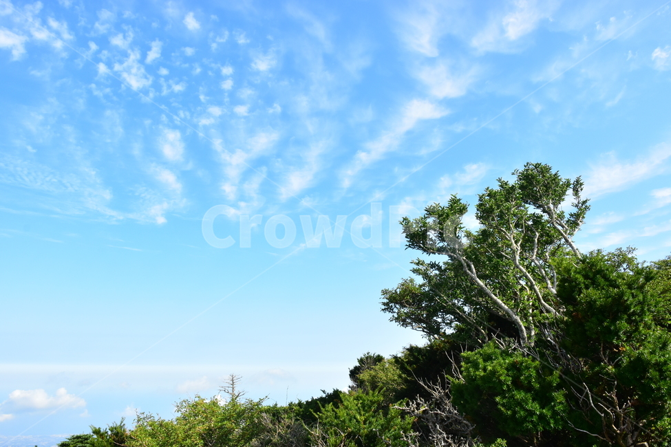 영실,한라산,제주,기암괴석,절경,자연,풍경,힐링,여름,계절,탐방,등산,season,nature,landscape,한국자연풍경,한국자연경관,korea,naturelandscape,제주도,jeju,jejuisland,자연,풍경,nature,landscape,한국자연풍경,한국자연경관,korea nature landscape,제주도,jeju,jeju island,outdoors,옥외,tree,나무,plant,식물