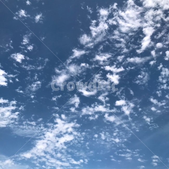 하늘,구름,파란,청명한,하얀,sky,cloud,blue