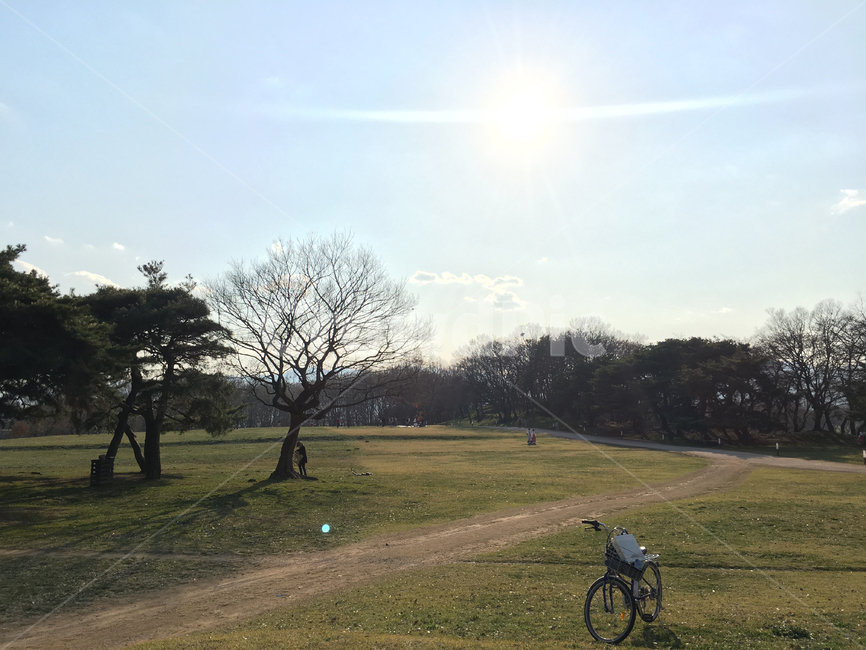 공원,park,가을,autumn,자연,nature,나무,tree,자전거,bike,분위기있는,쓸쓸함,자연,풍경,nature,landscape,field,들,outdoors,옥외,bicycle,transportation,교통,vehicle,차량