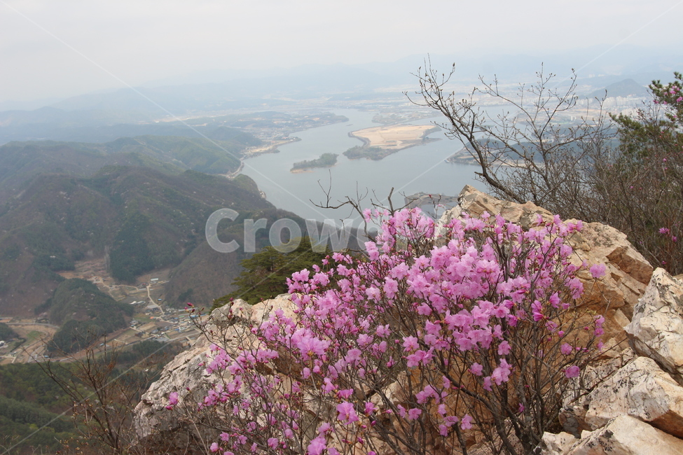 삼악산,진달래,용화봉,정상,전망대,봄