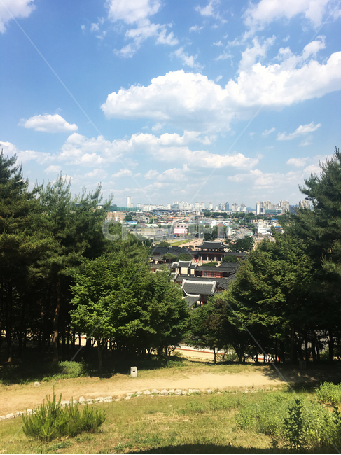 수원,화성,맑음,하늘,나무,한옥,suwon,koreanhouse