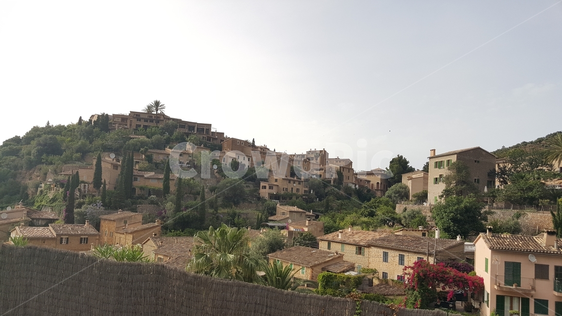 스페인,마요르카,관광,자연,풍경