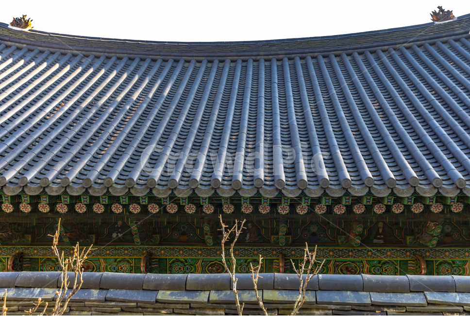 기와,지붕,단청,건축물,전통건축,한옥,고건축,건축,한국전통,한국문화,korean traditional,korean culture,건축물,건물외관,exterior,building,structure,architecture,construction