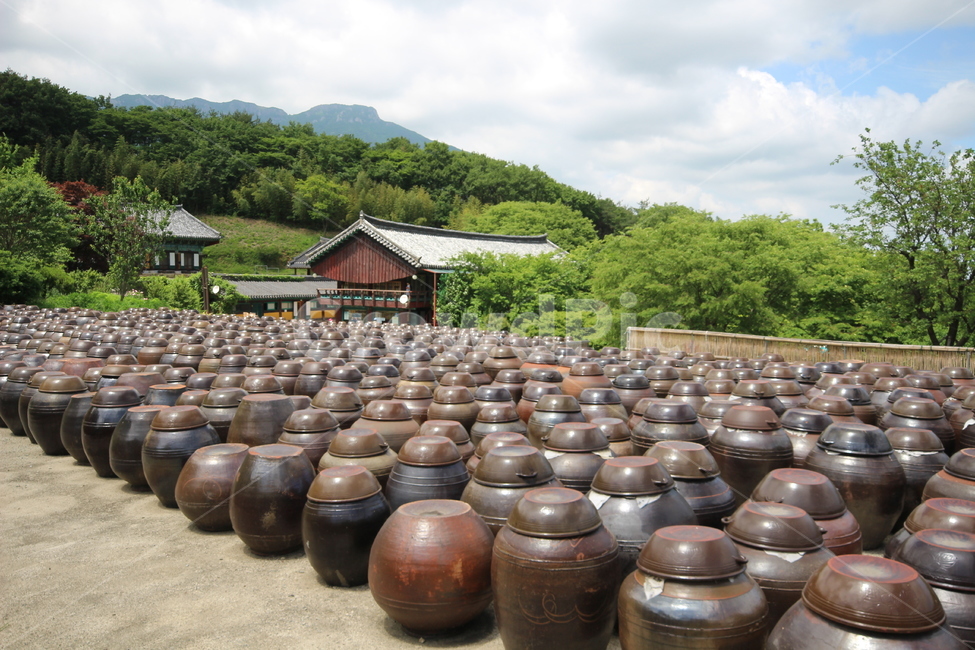 옹기,서운암,양산,절,통도사,한국전통,한국문화,korean traditional,korean culture,사물,물건,오브젝트,thing,object,matter