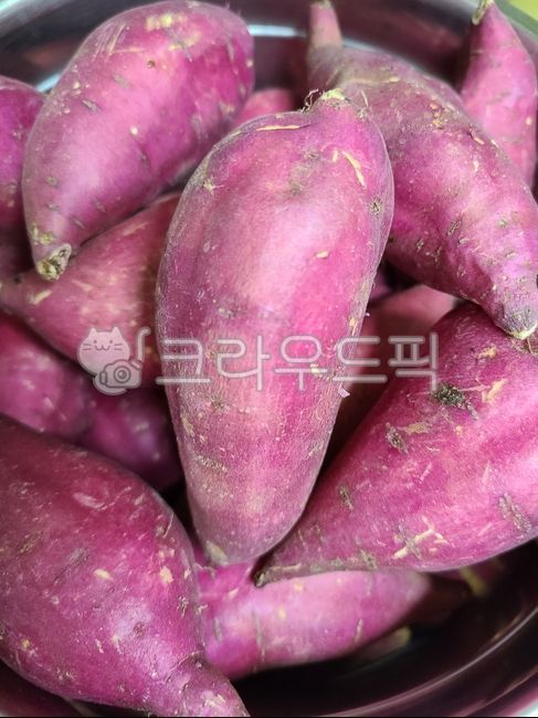 chestnut sweet potato,sweet potato,Honey sweet potato,Pumpkin Sweet Potato,Fresh sweet potatoes,snack,Red Clay Sweet Potato,winter,vegetable,food,Roasted Sweet Potato,Carrot Sweet Potato,Pungwonmi Sweet Potato