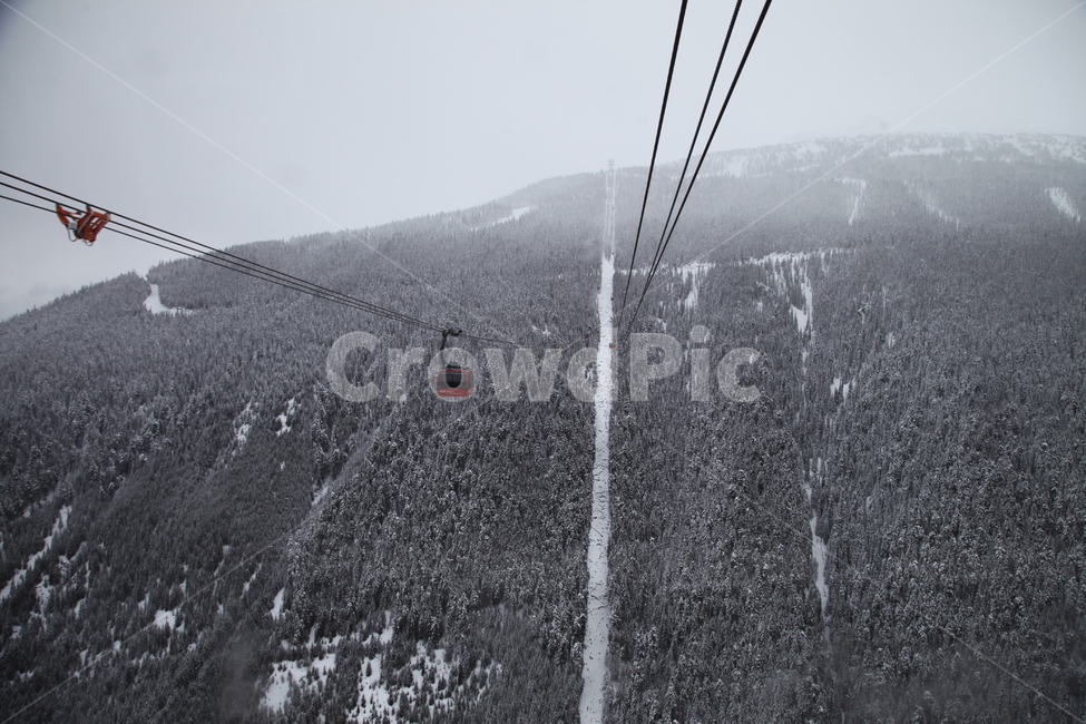 곤돌라,눈,캐나다,유럽,눈발,아름다운,겨울,계절,winter,season,자연,풍경,nature,landscape,vehicle,차량,transportation,교통,cable car,케이블카