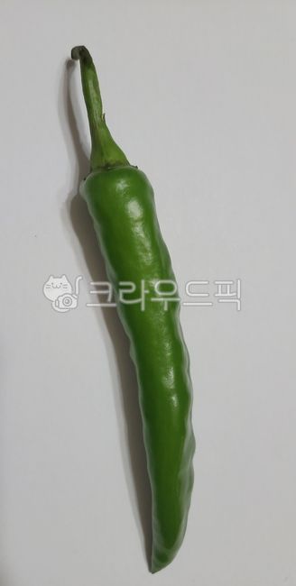 food,pepper,vegetable,채소,청앙고추,초록