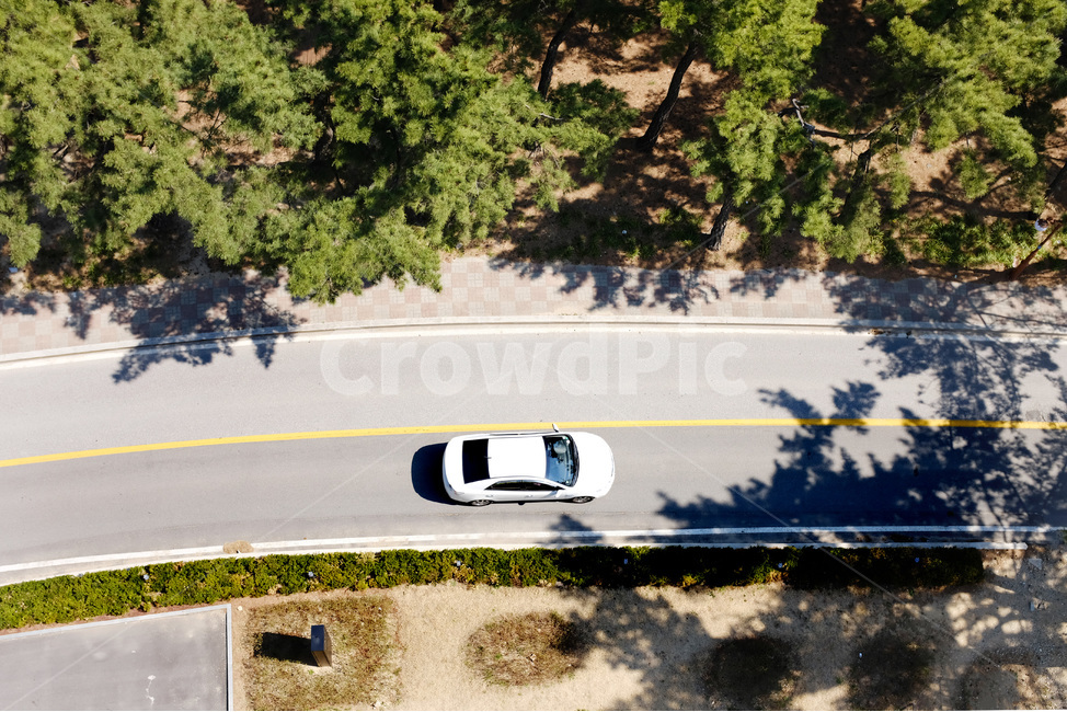 해변도로,자동차,풍경사진,도로,road