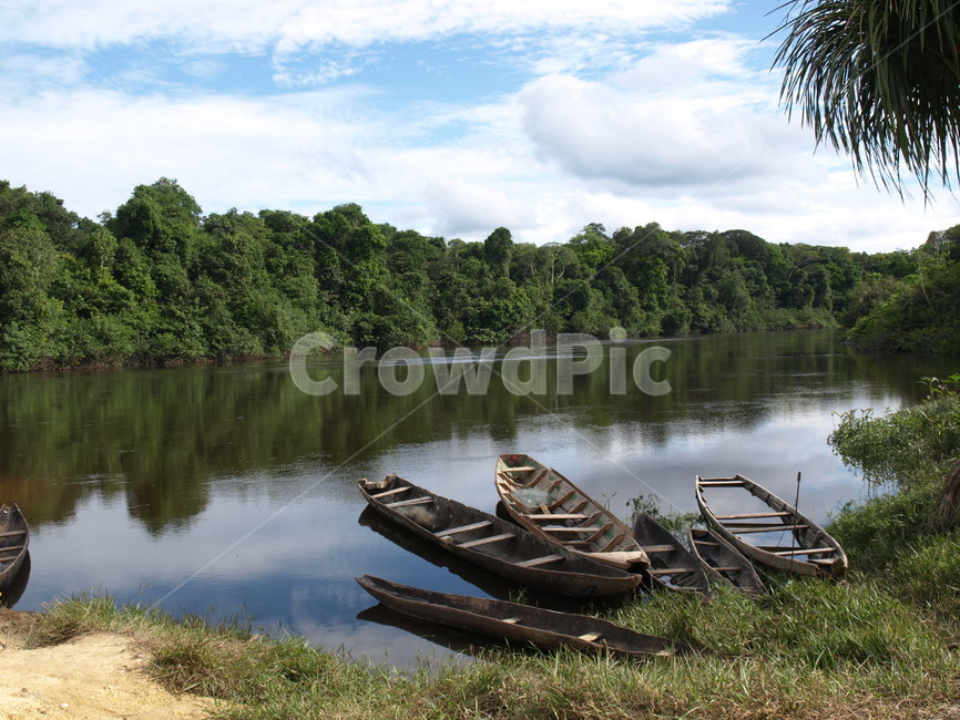 카누,강,아마존,나무,canoe,river,tree,자연,풍경,nature,landscape,해외,외국,세계,foreign,oversea,world,세계자연풍경,해외자연풍경,외국자연풍경,world nature landscape,boat,보트,vehicle,차량,rowboat,노 젓는 배,transportation,교통