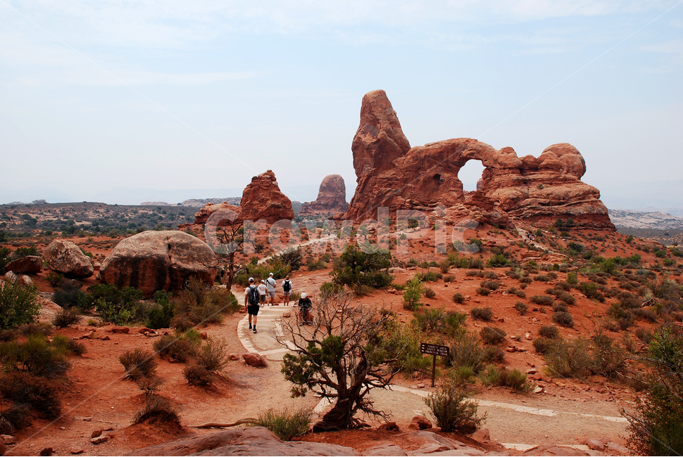 archesnationalpark,아치스국립공원,국립공원,유타,utah,미국서부,풍경,자연,풍경,nature,landscape,해외,외국,세계,foreign,oversea,world,세계자연풍경,해외자연풍경,외국자연풍경,world nature landscape,ground,바닥,outdoors,옥외