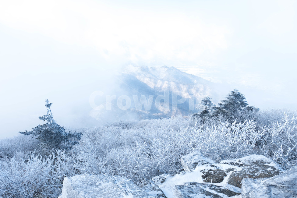 설경,산,겨울산,겨울,눈꽃,눈,등산,능선,추위,도전,하늘,구름,정상,흐림,덕유산,계절,winter,season,자연풍경,nature,landscape,한국자연풍경,한국자연경관,koreanaturelandscape,바람,흩날리다,무주,향적봉,상고대,눈보라,폭설,설산,설국,겨울,계절,winter,season,자연,풍경,nature,landscape,한국자연풍경,한국자연경관,korea nature landscape,outdoors,옥외,ice,빙,mountain,snow