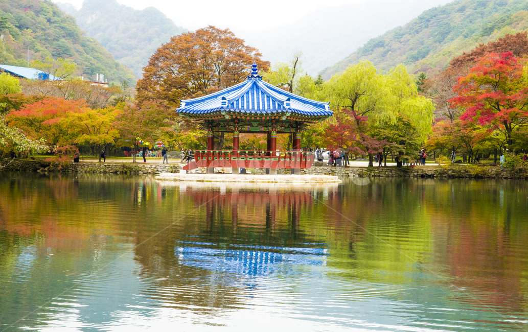자연,풍경,계절,가을,단풍,단풍철,정자,우화정,내장사,절,내장산,국립공원,공원,물,반영,호수,연못,다리,징검다리,돌다리,나뭇가지,단풍잎,잎,붉은,산,청기와,기와,그림자,물그림자,water,outdoors,옥외,nature,가을,계절,fall,autumn,season,자연,풍경,nature,landscape,한국자연풍경,한국자연경관,korea nature landscape,human,인간,person,사람