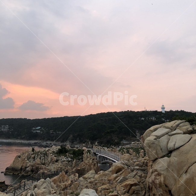 노을,석양,바닷가,대왕암공원,하늘,저녁하늘,저녁노을,바다,울기등대,울산,대왕암,자연,야외,아름다움,신비로움,풍경
