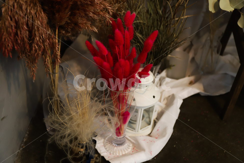 강아지풀,라그라스,빨강,분위기,풀,꽃,flower,인테리어,실내디자인,interior design