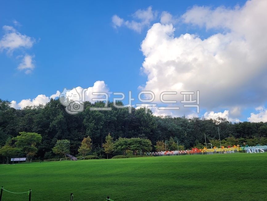 sky,movables,rainbow,vane,plant,autumn