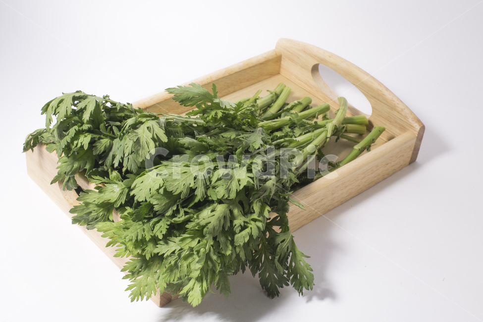쑥갓,야채,채소,식재료,녹색,채소,야채,vegetables