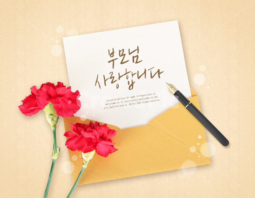 봉투,만년필,카네이션,꽃,어버이날,기념일,이벤트,팝업,가족,패밀리,family,감정표현,기분,feeling,emotion,기념일,축하,anniversary,congratulation,celebrate,celebration,그래픽,일러스트레이션,graphic,illustration,캘리그라피,손글씨,calligraphy