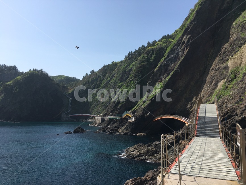 산,바다,울릉도,배경,아름다운,다리,에메랄드,자연,풍경,nature,landscape,promontory,곶,water,물,outdoors,옥외,ocean,대양,sea