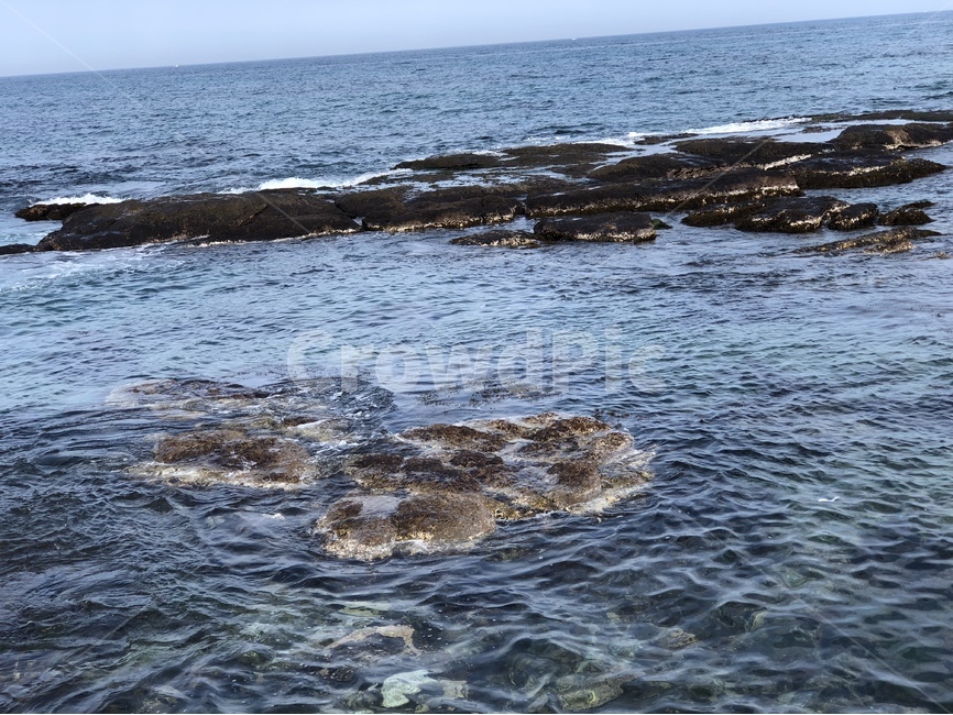 바다,겨울바다,파도,겨울,포항,자연,풍경,nature,landscape,promontory,곶,sea,ocean,대양,outdoors,옥외,water,물