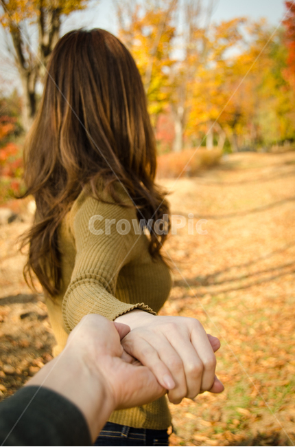 커플,가을,손,뒷모습,연인,단풍,여성,따르다,배경,식물,시즌,잎,자연,숲,나무,공원,사람,손가락,여자,아름다운,팔,하이킹,휴일,함께,남자,휴가,여행,단풍나무,컨셉,낭만,여자친구,여친,남자친구,남친,관광,로맨스,가을,계절,fall,autumn,season,사람,인물,인간,human,person,여성,여자,woman,female,lady,연인,커플,사랑,lover,couple,여행,휴가,traveling,vacation,trip