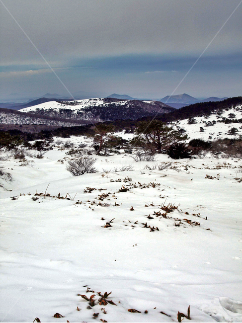 어리목,제주도,한라산,설경,겨울산,눈,등산,설화,오름,겨울,계절,winter,season,자연,풍경,nature,landscape,outdoors,옥외,plateau,고원,mountain,산,mountain range,산맥
