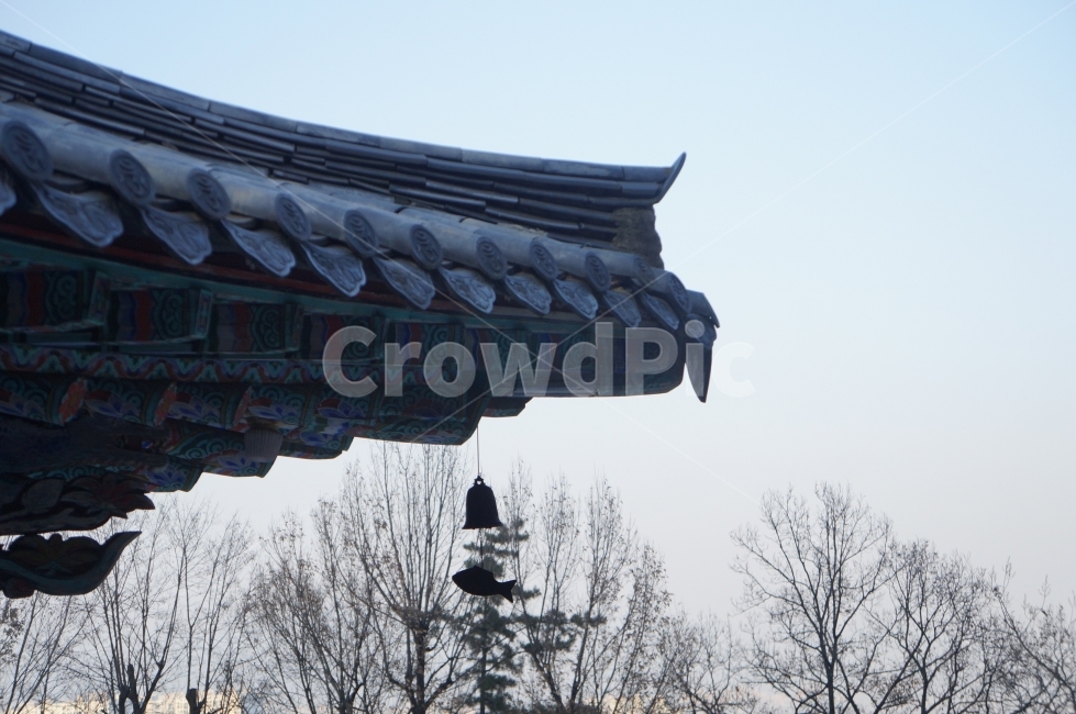 풍경,절,기와,스님,경산,한국전통,한국문화,korean traditional,korean culture,건축물,건물외관,exterior,building,structure,architecture,construction