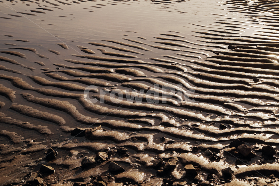 구봉도,대부도,바다,썰물,갯벌,패턴,자연,풍경,nature,landscape
