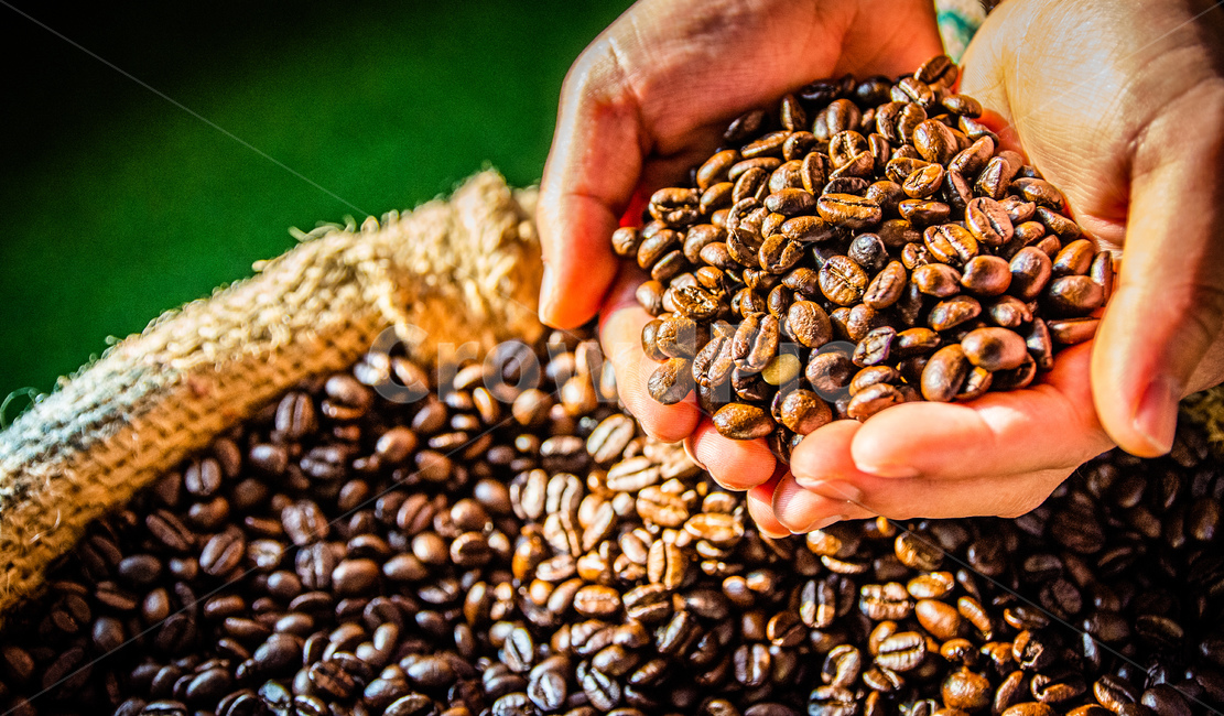 close up,roasting coffee beans,coffeebeen,concept,coffee beans,coffee ingredients,background,coffee,beans,coffeebeans,object,Caffeine