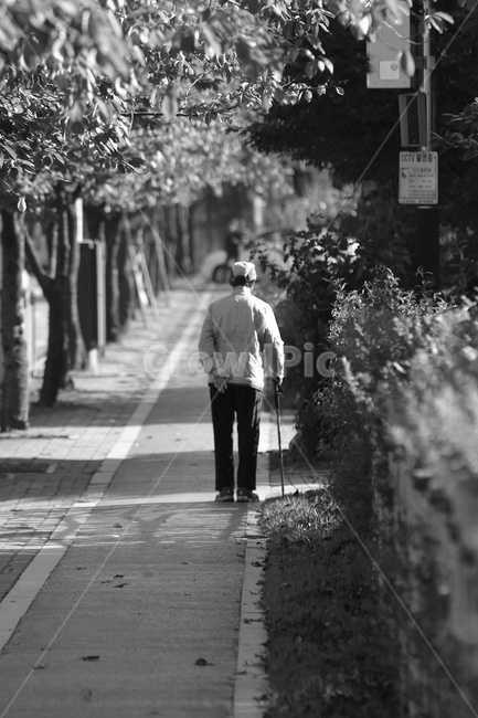person,사람,human,인간,path,통로,사람,인물,인간,human,person,노인,어르신,old man, senior citizen,고독함,외로움,쓸쓸함,우울함,슬픔,lonely,solitary,흑백,모노톤,monochrome,black and white