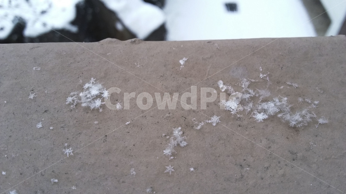 눈,눈결정,겨울,자연,nature,스노우크리스탈,snowcrystal