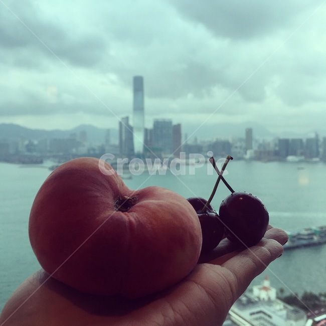 과일,복숭아,납작복숭아,체리,홍콩