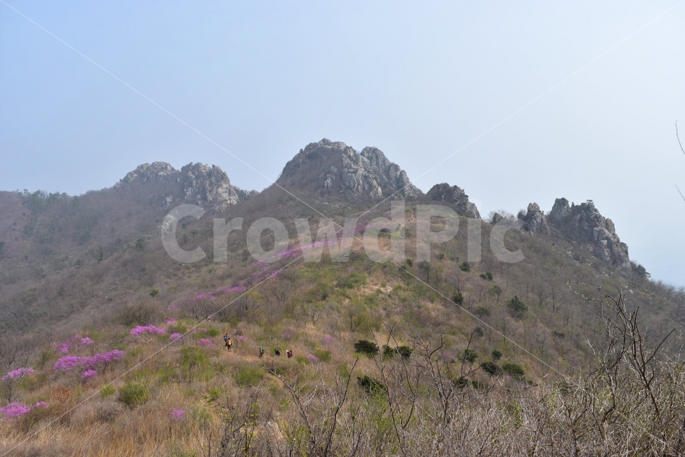 주작산,덕룡산,진달래,풍경,기암,바위,비경,봄풍경,분홍색,진달래꽃,강진,명산,산행,등산,마운틴,자연,풍경,nature,landscape,봄,계절,spring,season,outdoors,옥외,hill,언덕,slope,경사