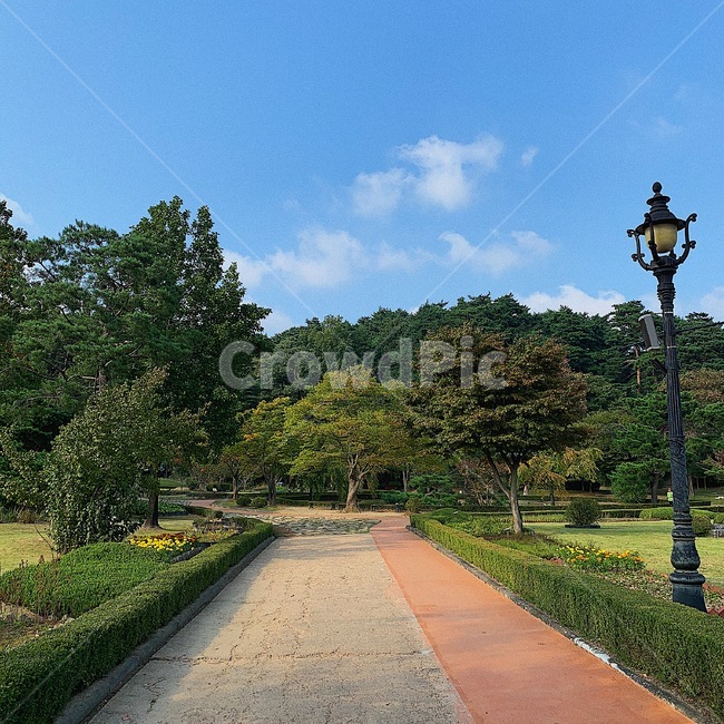 오죽헌,강원도,숲,자연,nature,구도,색감,컬러