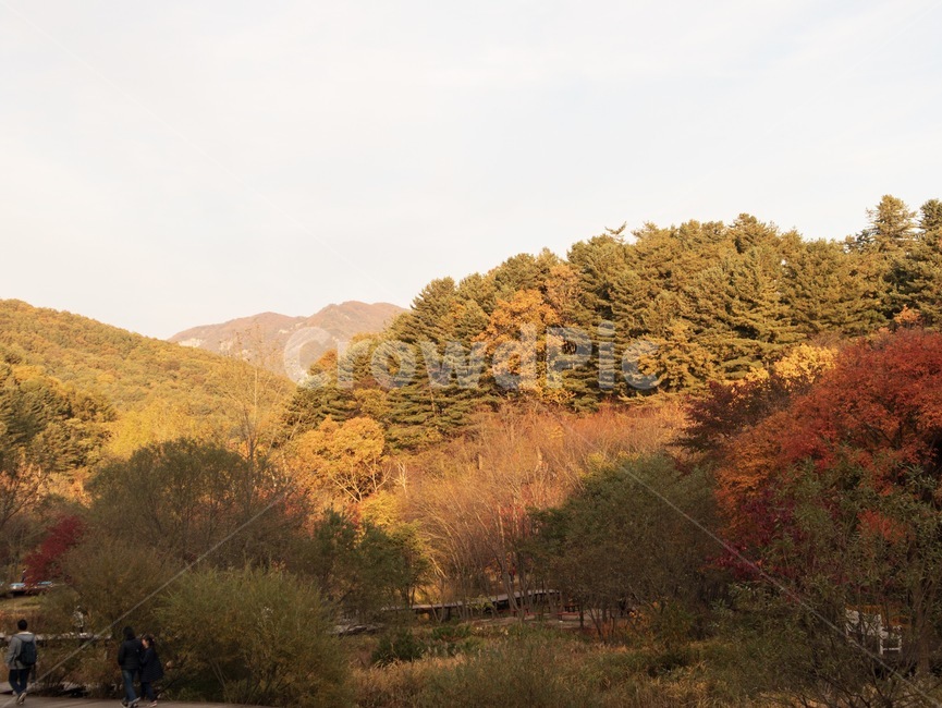 산,자연,풍경,가을,landscape,nature,outdoors,단풍,나무,tree,식물,plant,가을,계절,fall,autumn,season,자연,풍경,nature,landscape,옥외