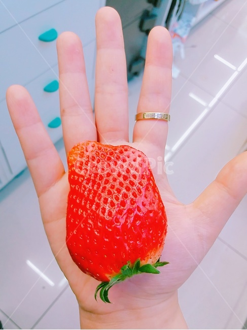 손,반지,딸기,과일,손가락