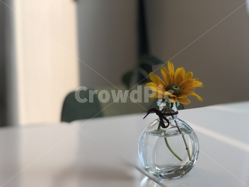 꽃,플라워카페,꽃병,생화,플라워,카페