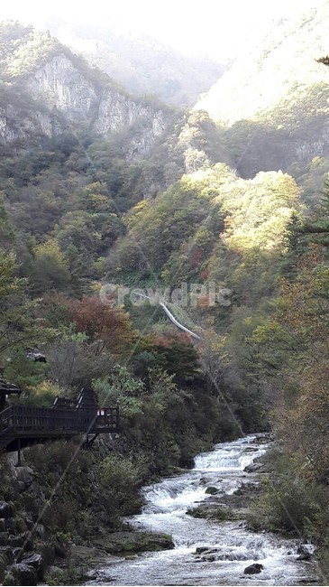 계곡,삼척,산,햇살,봄