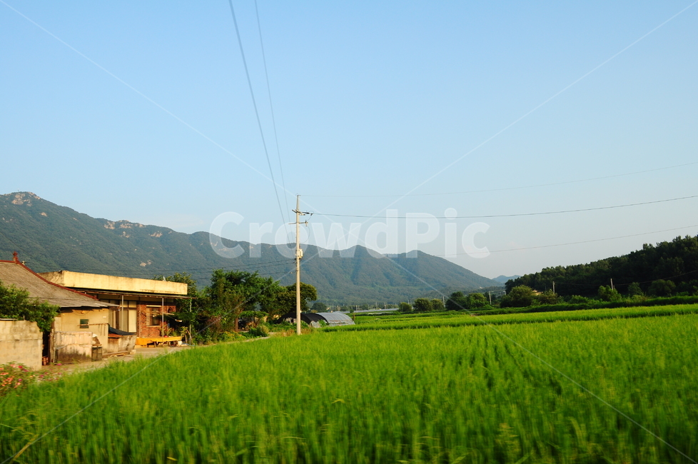하늘,자연,시골,산,밭,집,시골,마을,풍경,landscape,country,rural,town