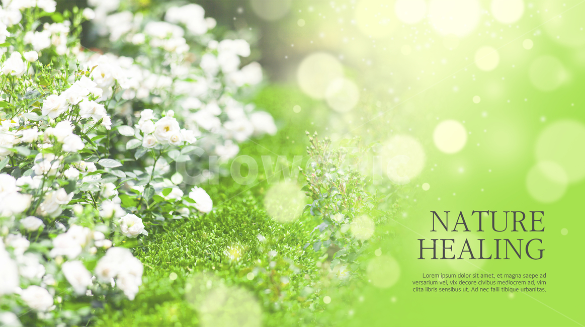꽃,꽃밭,봄,보케,힐링,감성,엽서,식물,자연,plants,nature,꽃,flower,그래픽,일러스트레이션,graphic,illustration