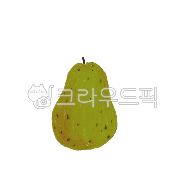 fruit, 과일, 배, pear, 음식, 사진,이미지,일러스트,캘리그라피 - Yeoni80작가
