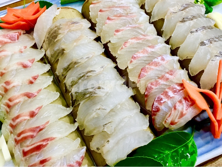 음식,요리,food,회,생선,모듬회,모둠회,광어우럭도미,광어,우럭,도미,생선살,신선한,생기있는,회사진,배경,회배경,음식,식재료,요리,food,cook,meal,dishes,food reserves,수산물,해산물,fishery products,seafood,일식,일본음식,일본요리,Japanese food,Japanese dishes,Japanese meal,Japanese cook