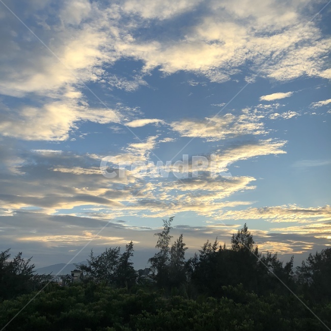 하늘,파랑,풍경,노을,노을질무렵,저녁,구름,여름,행복,나무,초록,시원함,힐링,창가,창밖