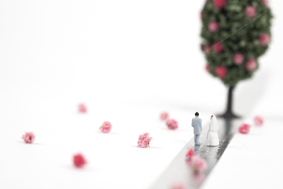 웨딩,커플,신랑,신부,꽃길,오브젝트,결혼,결혼식,나무,꽃나무,웨딩마치,은빛,흰색,배경,그린,녹색,희망,축복,실버,컨셉,미니어처,아이디어,분홍색,핑크,남녀,시작,브라이드,러브,사랑,웨딩드레스,예복,꽃,턱시도,플라워,셀프웨딩,스드메,연인,커플,사랑,lover,couple,결혼,혼례,웨딩,wedding,marriage,marry,기념일,축하,anniversary,congratulation,celebrate,celebration,연출,컨셉,콘셉,direction,concept