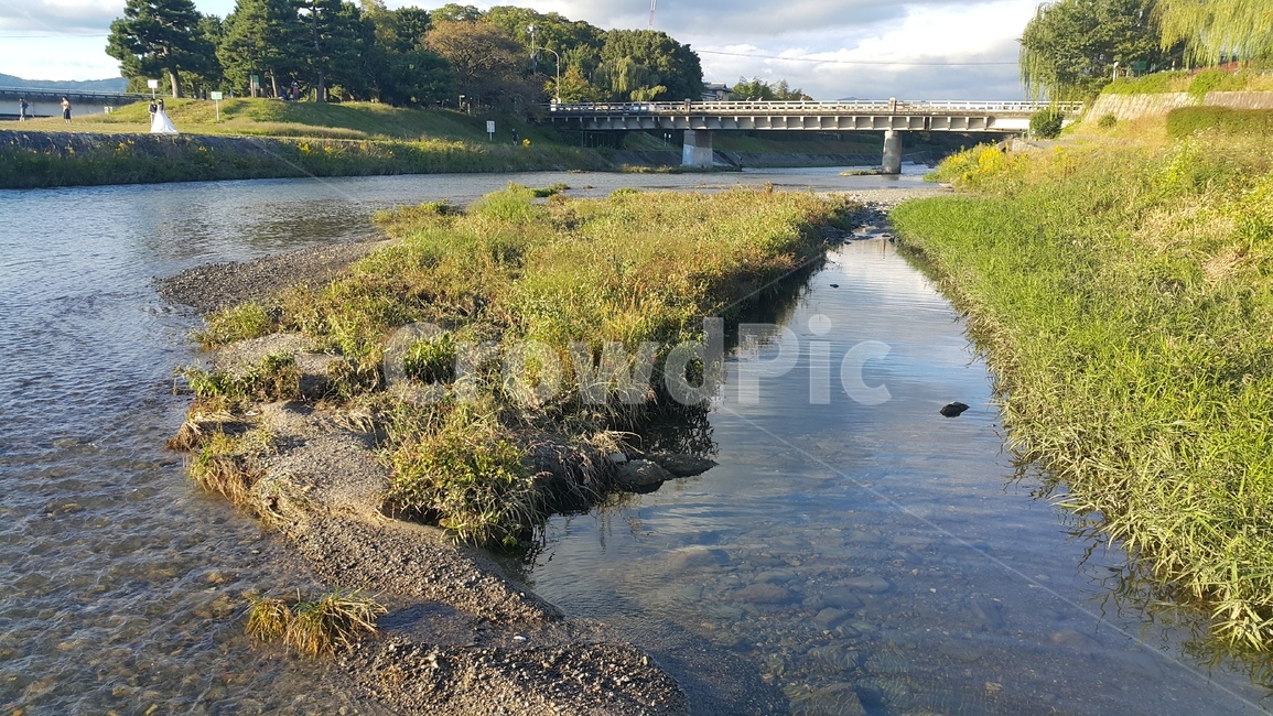 ditch,도랑,river,강,하천,일본