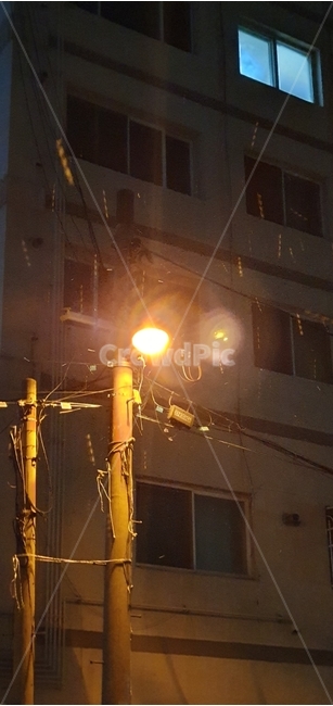 가로등,불빛,건물,밤,streetlamp,light,building,night
