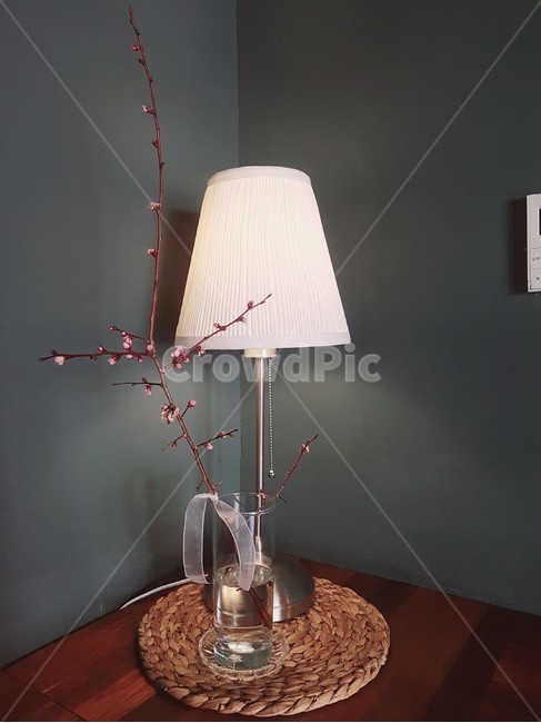 조명,인테리어,전등,꽃병,물컵,모서리,코너,lamp,램프,나뭇가지,라탄